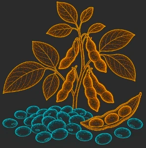 Soy oil